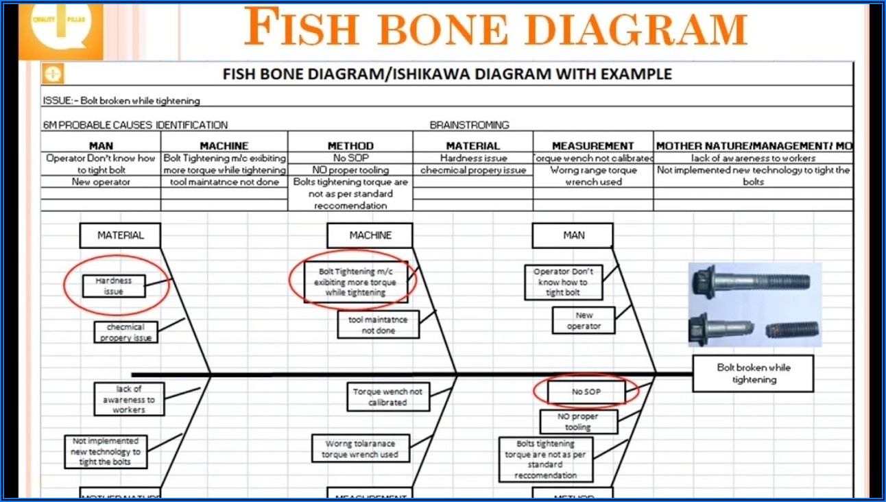 Ishikawa Fishbone Diagram Example