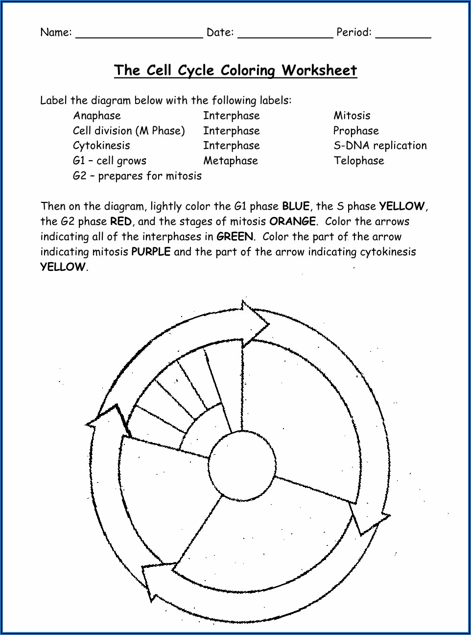 Mitosis Worksheet And Diagram Identification Answers Pdf