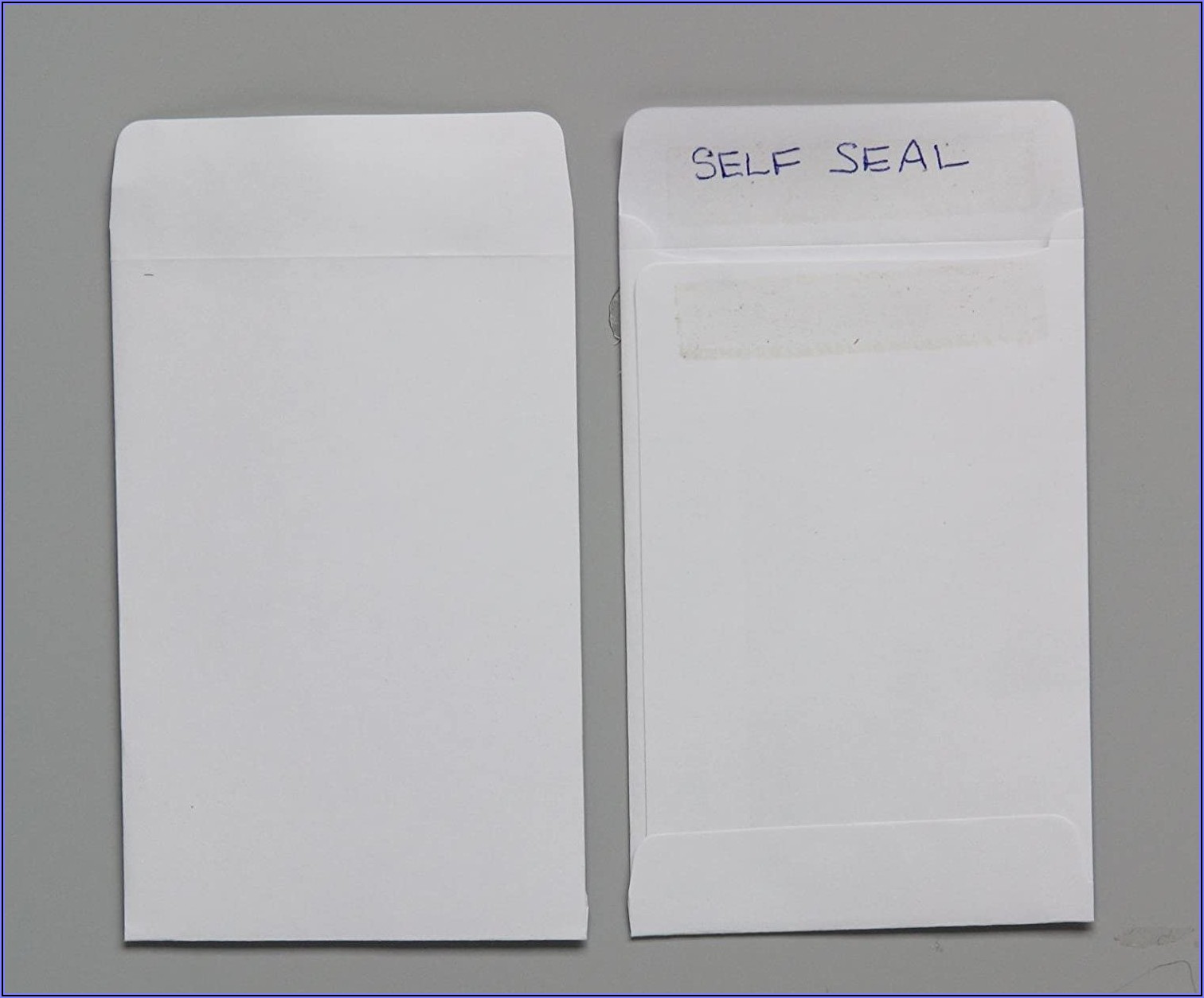 Self Sealing Seed Envelopes