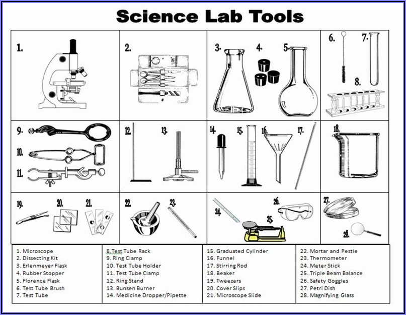 Worksheet On Scientific Method For High School