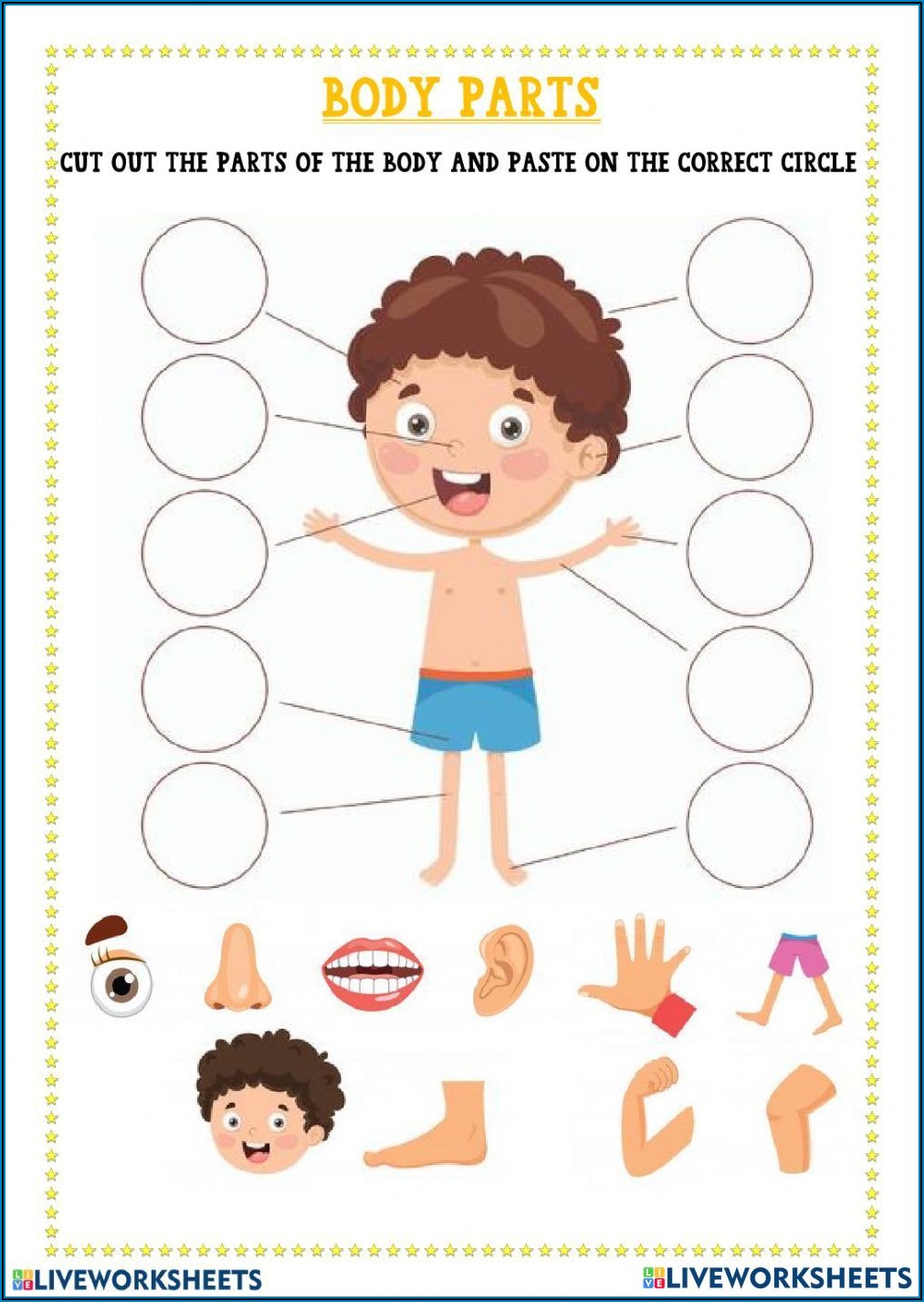 Kindergarten Worksheet On Body Parts