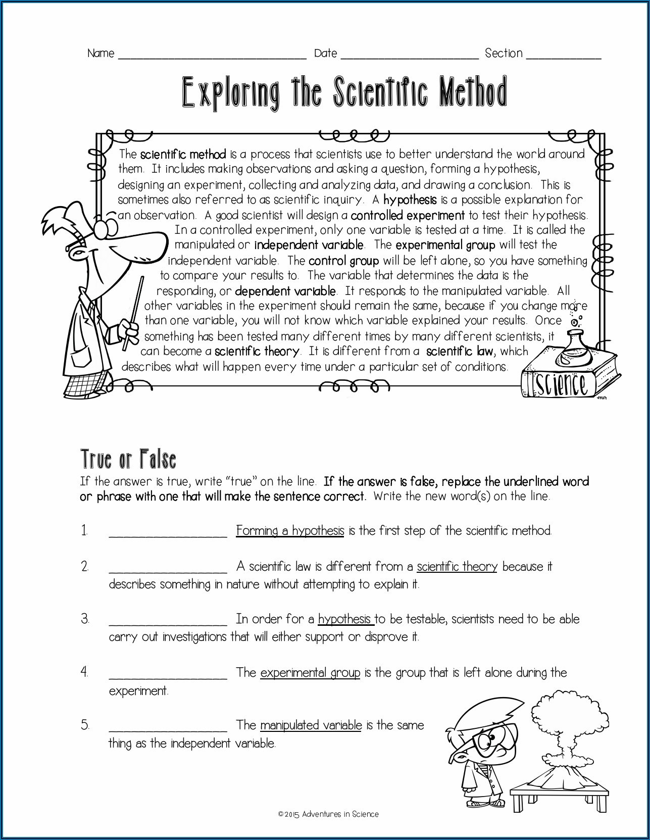 Scientific Method Observation Worksheet
