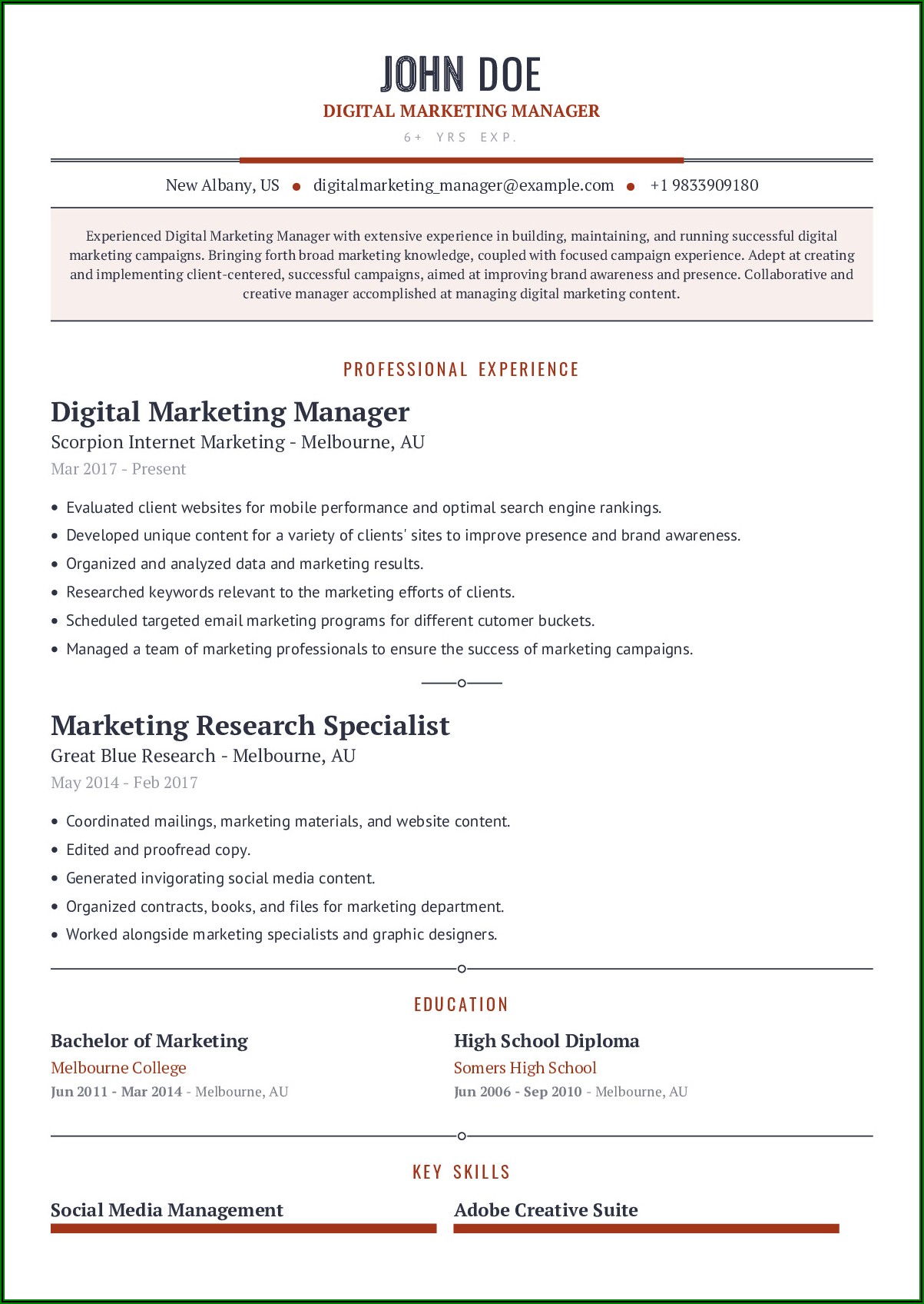 Digital Marketing Manager Resume Sample