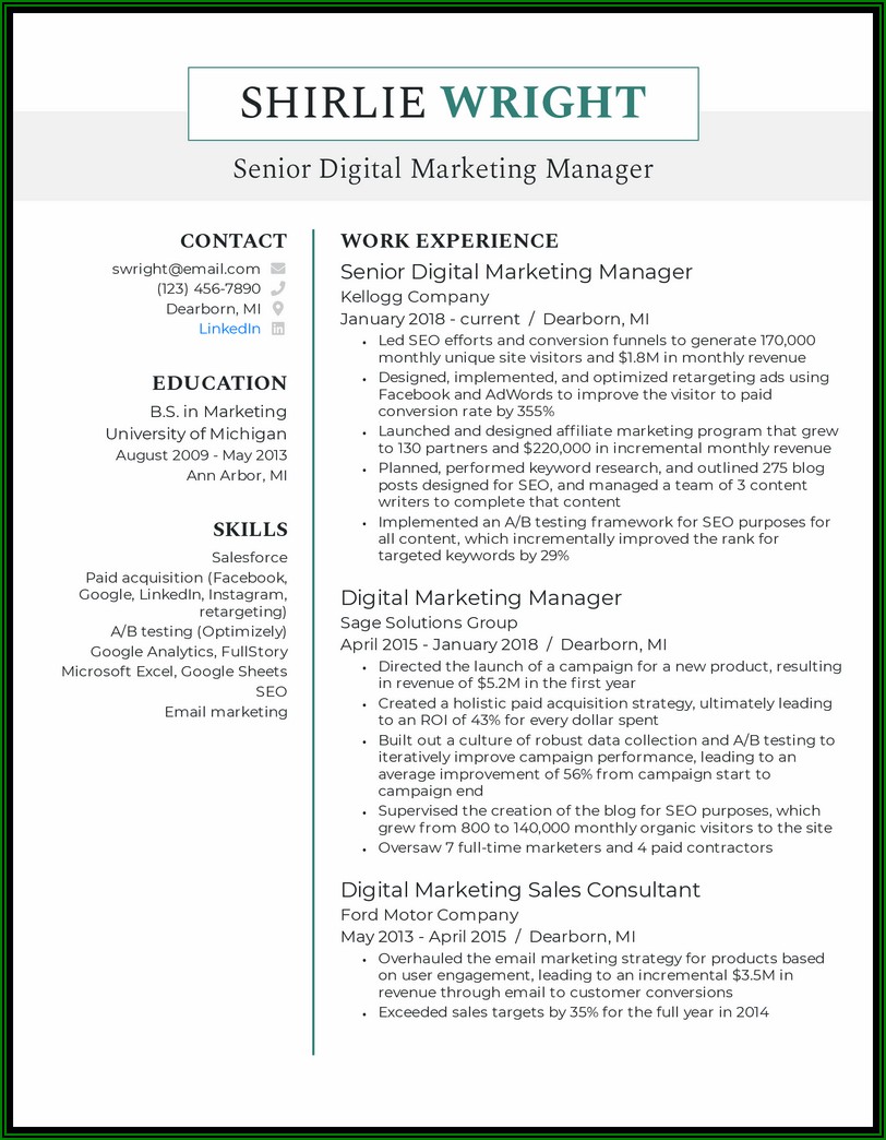 Digital Marketing Resume Sample India