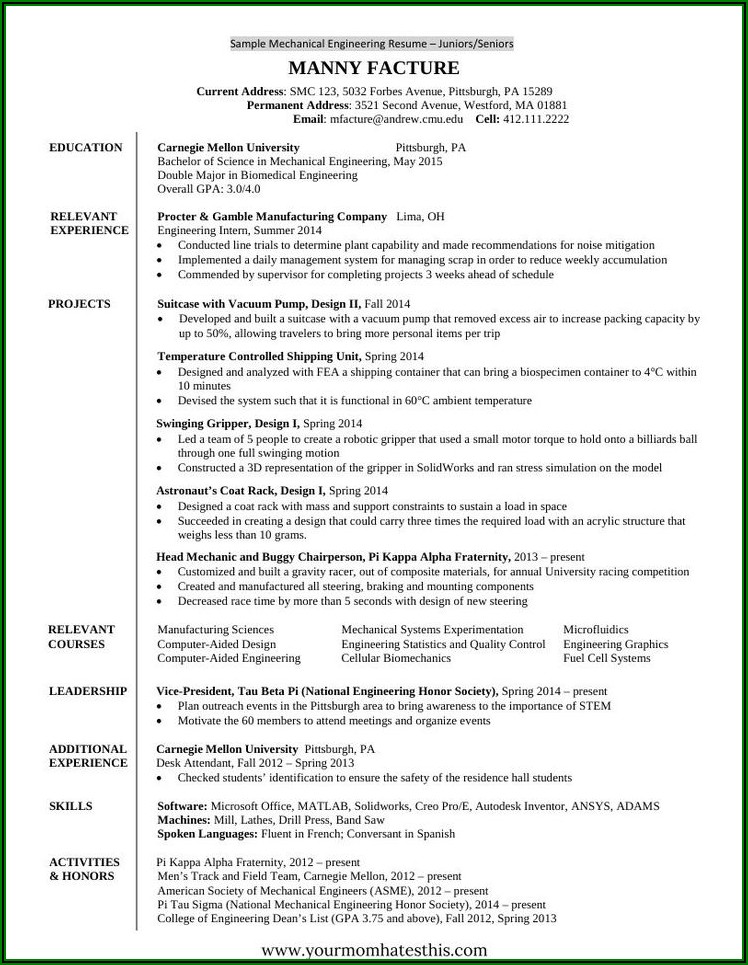 Job Resume Template Pdf Download