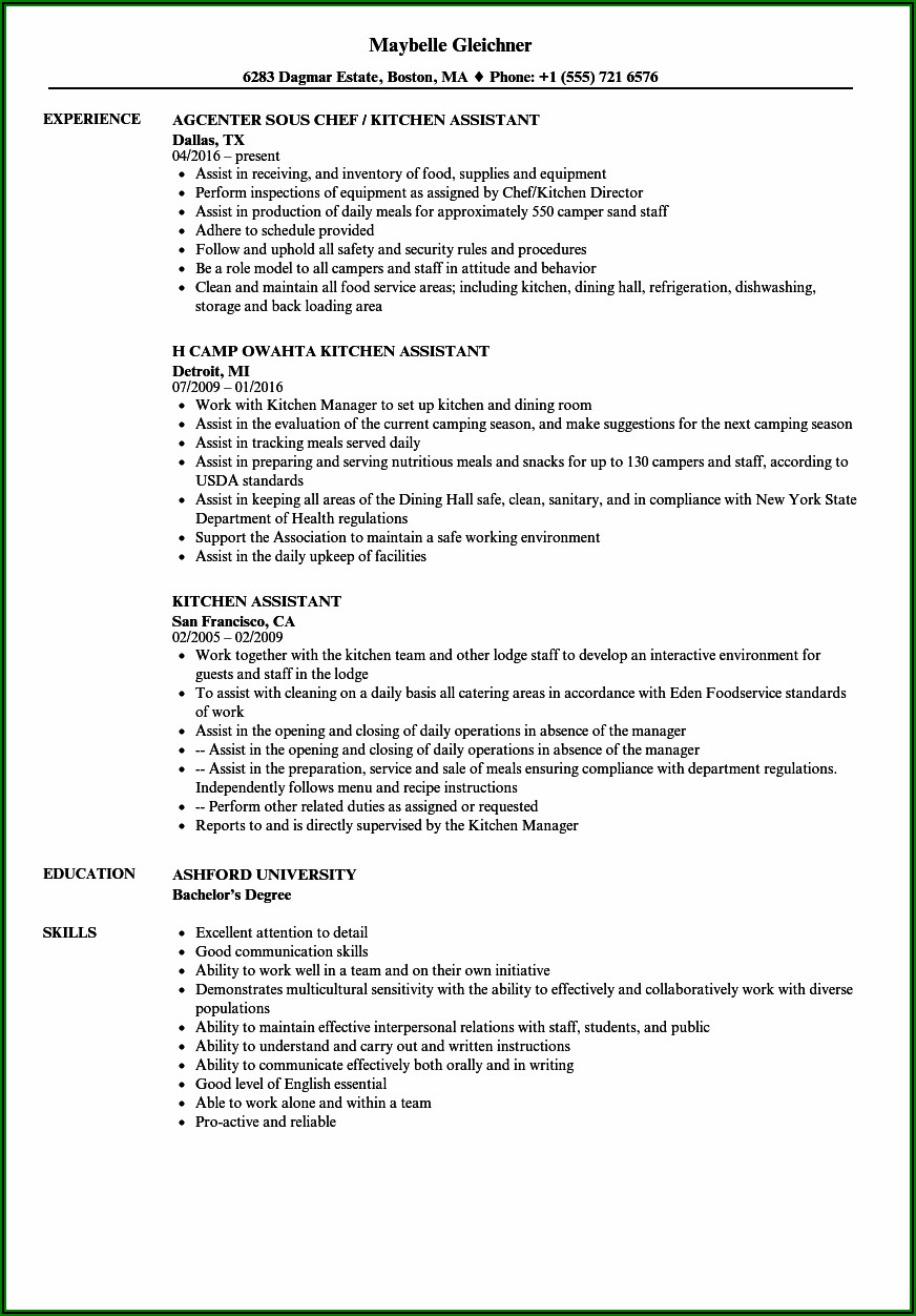 Professional Resume For Medical Assistant