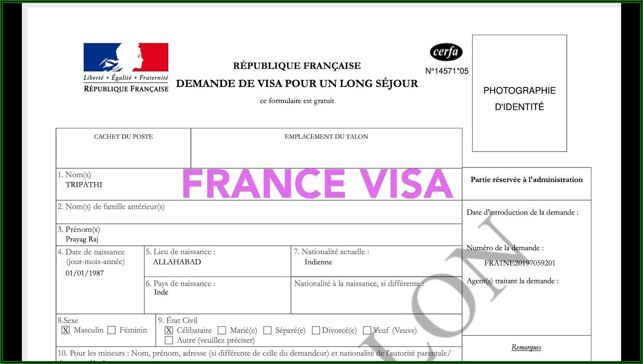 Qatar Visa Application Form Pdf