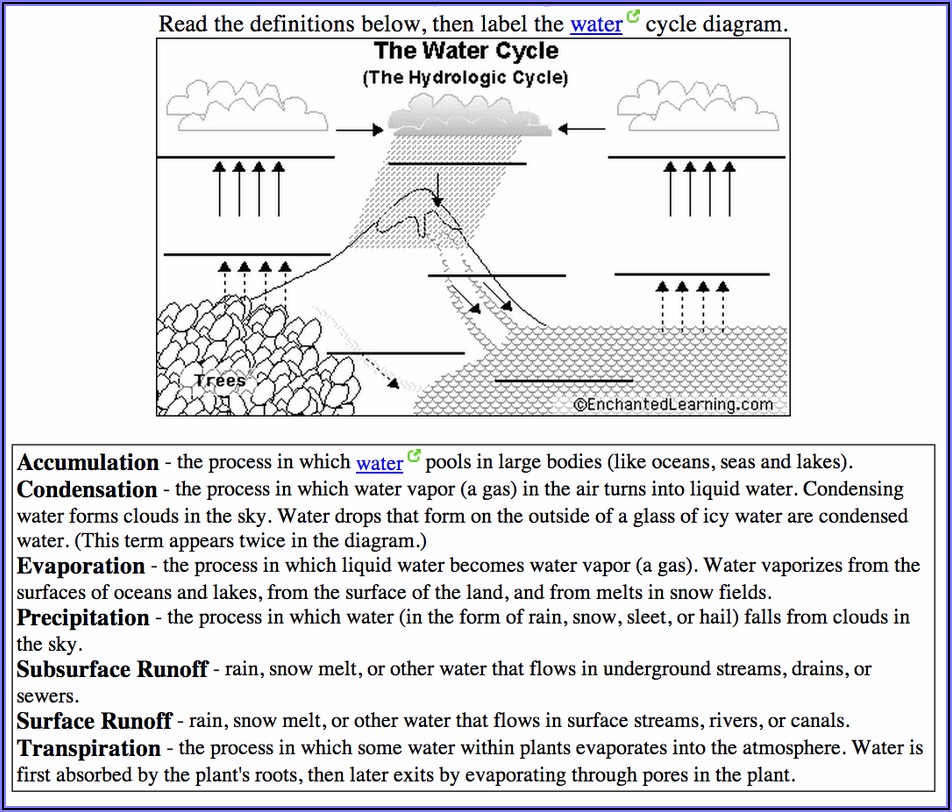 Water Cycle Worksheet Pdf Answer Key