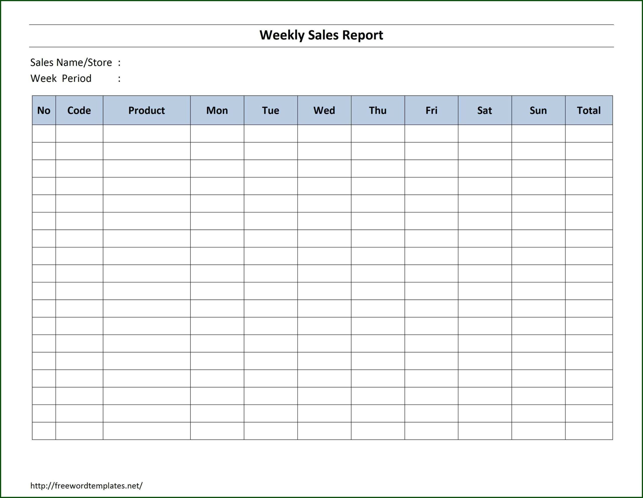 Daily Sales Report Form