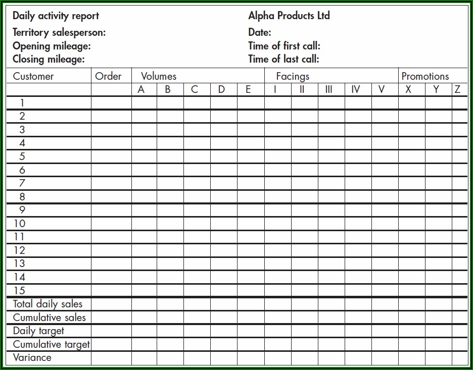 Daily Work Report Format For Sales Executive