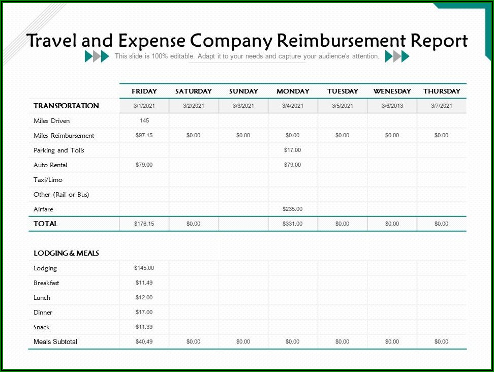 Travel Expense Report Example