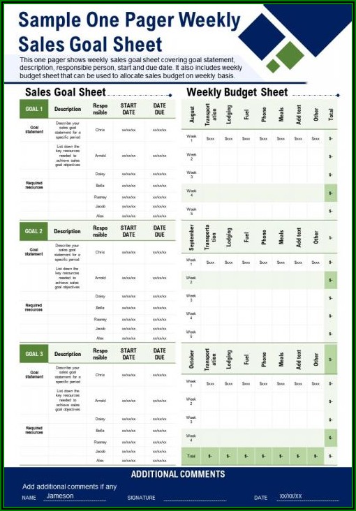 Weekly Sales Report Sample