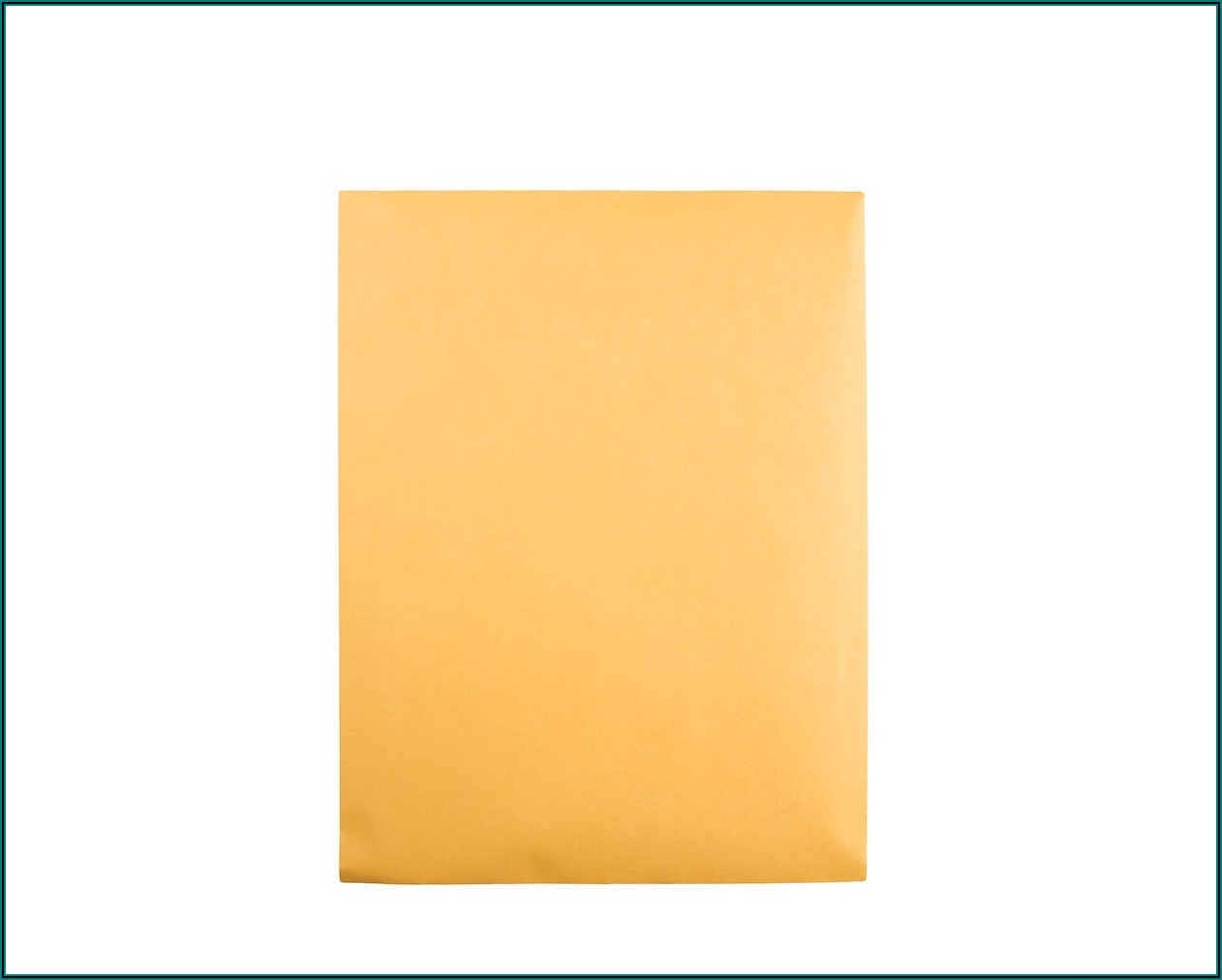 10 X 13 Catalog Envelopes
