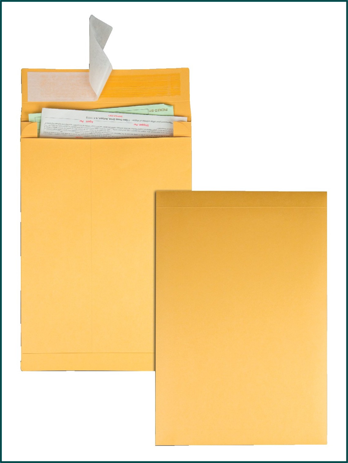 10 X 13 X 2 Expansion Envelopes