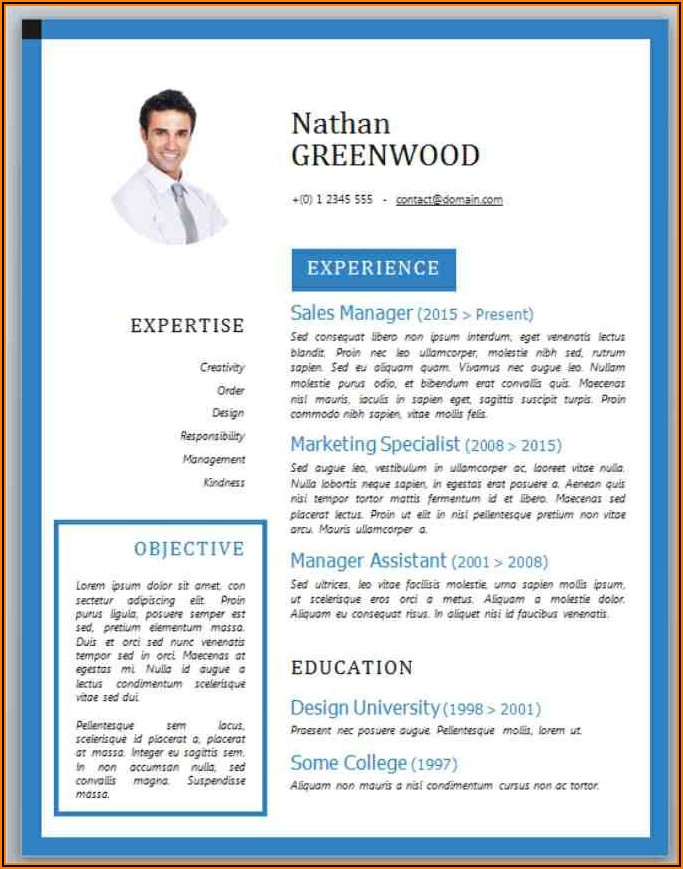 Curriculum Vitae Template Word Download Free