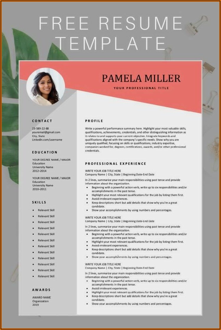 Cv Template Word Download Free 2020