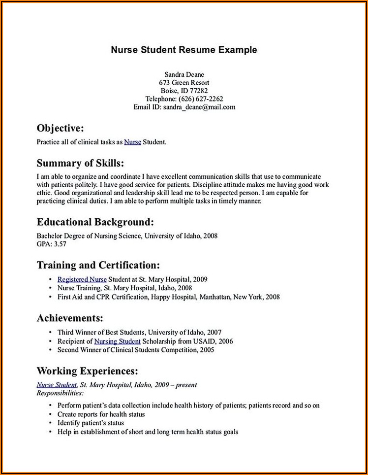 Examples Of Cv For Nursing Students