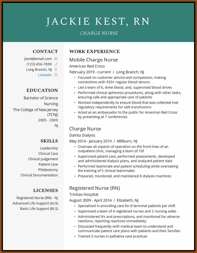 Examples Of Resumes For Nurses
