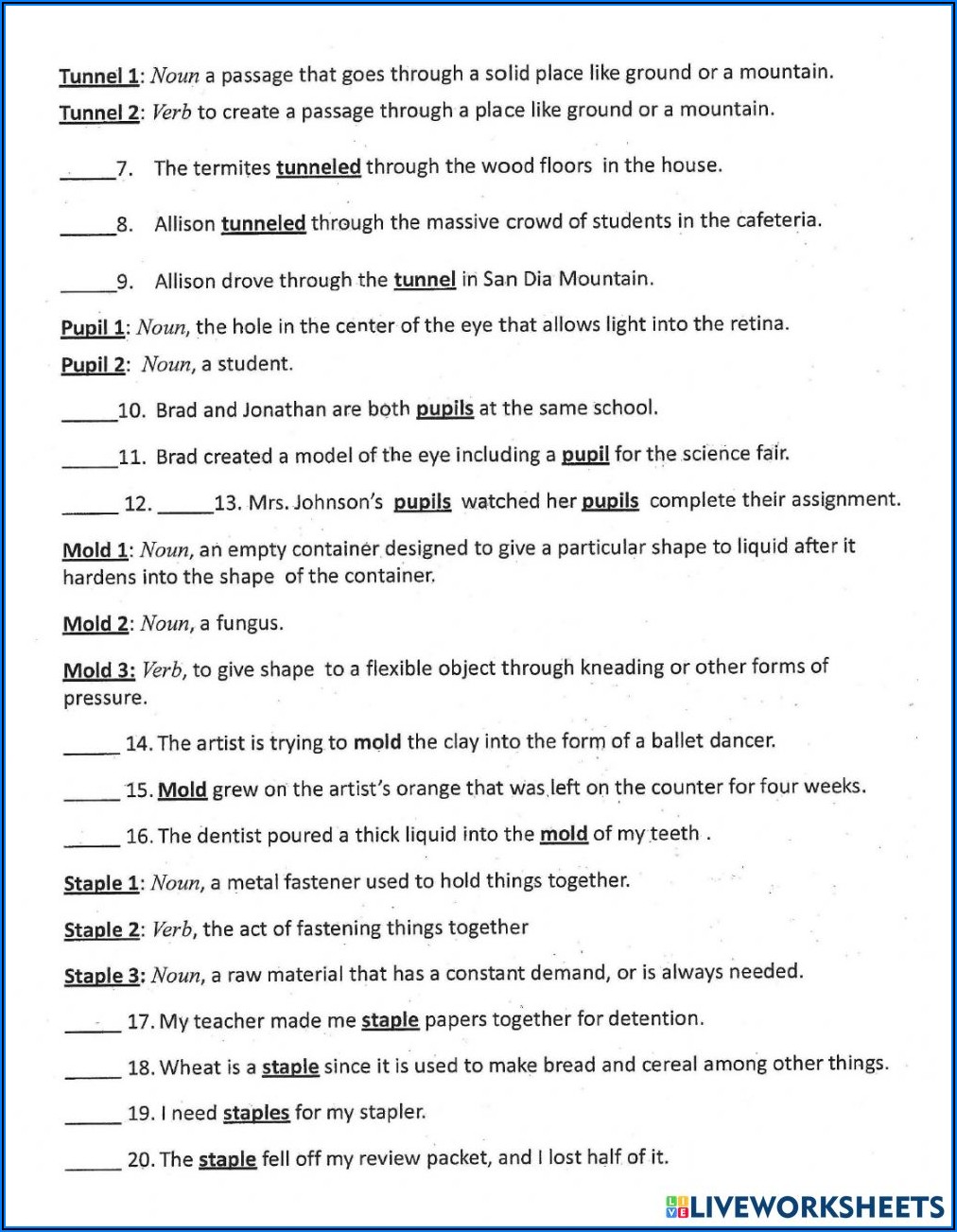 Multiple Meaning Words Quiz 4th Grade