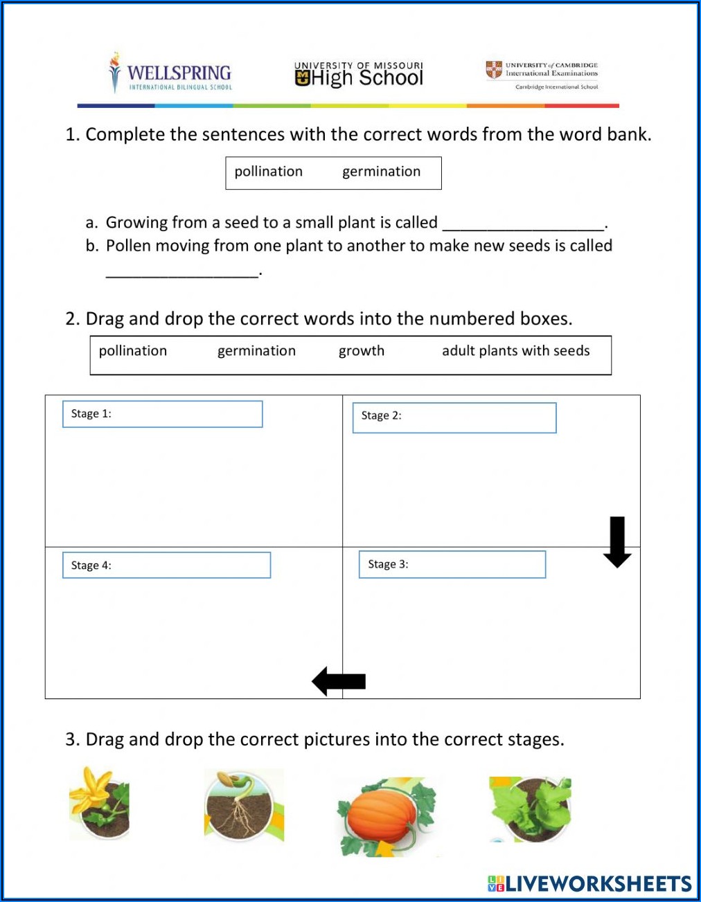 Science Plants Worksheets For 3rd Grade